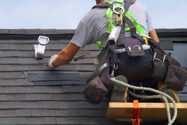 Best Roof Waterproofing Services  in Kurtistown, HI
