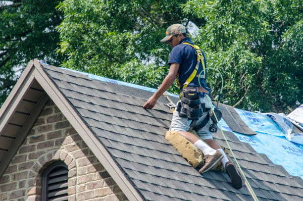 Best Shingle Roofing Installation  in Kurtistown, HI