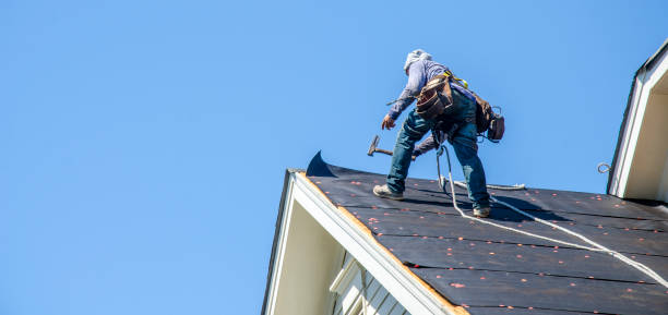 Best Roof Maintenance Services  in Kurtistown, HI